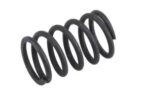 06681527 Gm Genuine Parts Set Of 10 Brake Cylinder Piston Spring Tv #2
