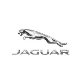 C2c21784 Jaguar Genuine Disc Brake Pad Pin