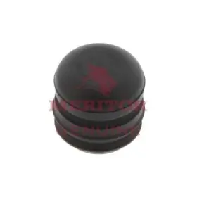 1199n4200 Meritor Cap