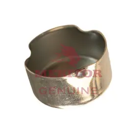 1199z4264 Meritor Slide Pin Cap #2