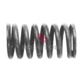 2258w517 Meritor Spring