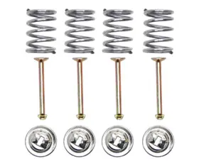 H14011-2 Raybestos Drum Brake Shoe Hold Down Kit-r-line