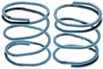 Return Spring Set Raybestos H1341. Fixed Price $19.27.