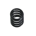 Genuine Toyota Drum Brake Shoe Hold Down Spring 90501-23154. Fixed Price $9.89.