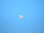 Brake Hydraulic Line Clip Mopar 52008940. Fixed Price $33.27.