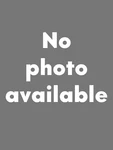 New! Volvo 740 Dorman Rear Parking Brake Shoe Set 40.346 30666344. Fixed Price $31.00.