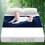 Grounding For Bed, Mattress Cover Pads Better Sleep, Pain Reli. Fixed Price $39.24.