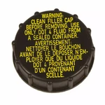 Genuine Ford Cap BV6Z-2162-A. Fixed Price $10.69.