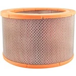 Baldwin PA5665 Air Element. Fixed Price $60.20.