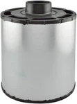 Baldwin Air Filter Replaces 42789; PA2829; AH1199; LAF2534. Fixed Price $59.95.
