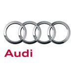 Genuine Audi Disc Brake Anti-rattle Clip 4M0-615-269. Fixed Price $37.35.