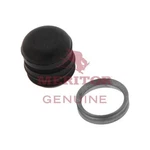 Meritor KIT225271 Adjuster Plug. Fixed Price $25.66.