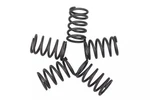 Genuine Gm Rear Brake Shoe Hold Down Spring 95375888. Fixed Price $64.65.