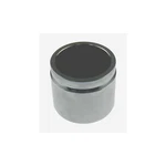 Carlson 7542 Disc Brake Caliper Piston. Fixed Price $77.52.