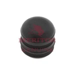 Meritor 1199N4200 Cap. Fixed Price $19.96.