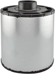 Air Filter Baldwin PA2829. Fixed Price $69.99.