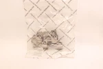 Dfc Disc Brake Hardware Kit Rear 340-45005. Fixed Price $10.17.